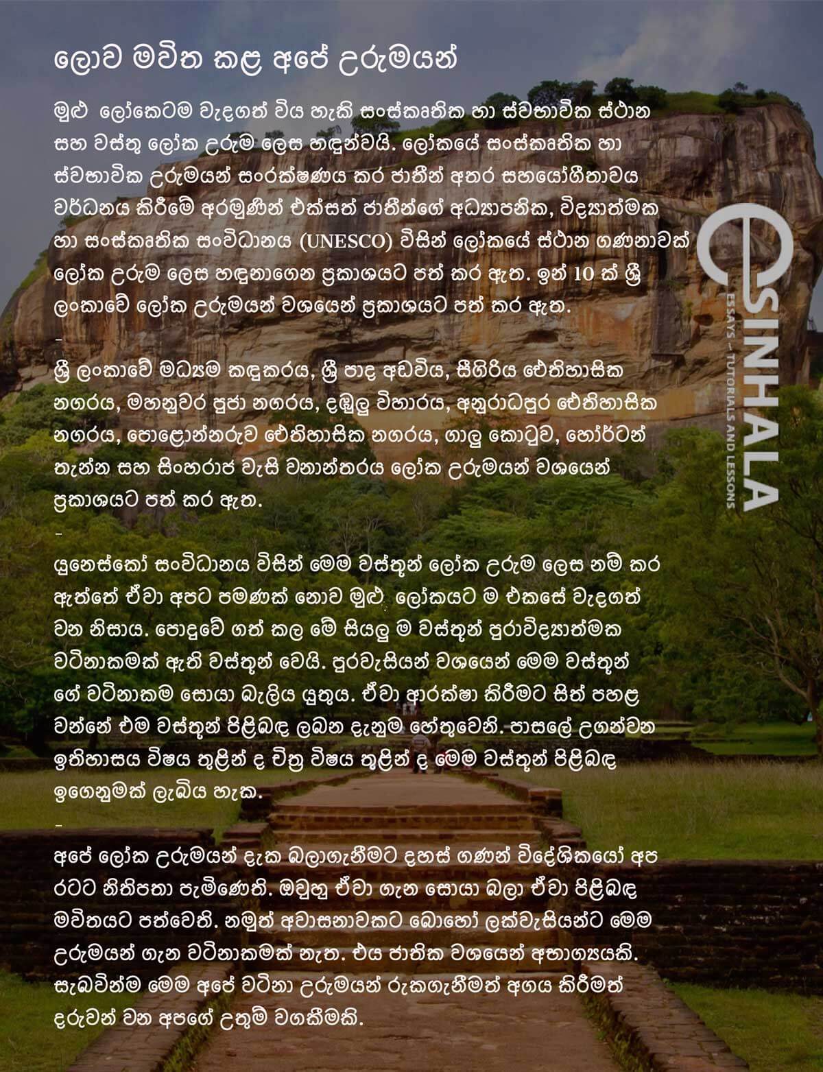 Our Heritage Is Amazing Grade 8 Essay