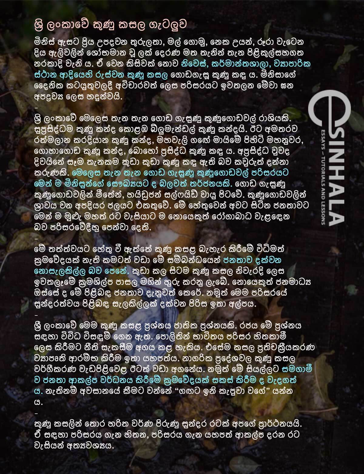 Sri Lanka garbage problem