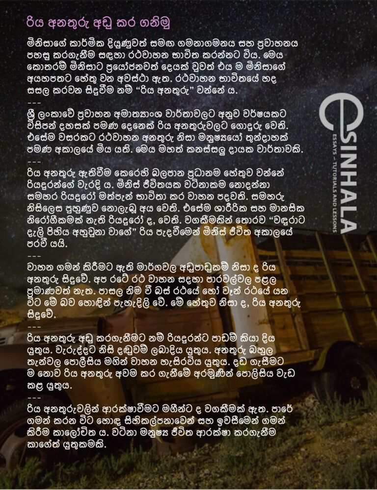 reduce-traffic-accidents-sinhala-essyas-grade-9