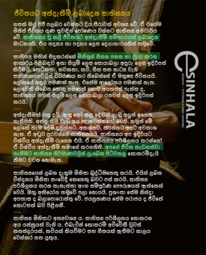 Literature with life experience Sinhala Essays