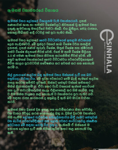 Sinhala essays for grade 9 image