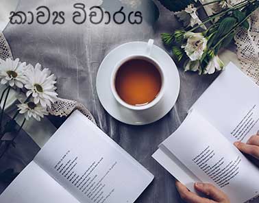 A Critique Of Poetry for Colombo 2nd Generation