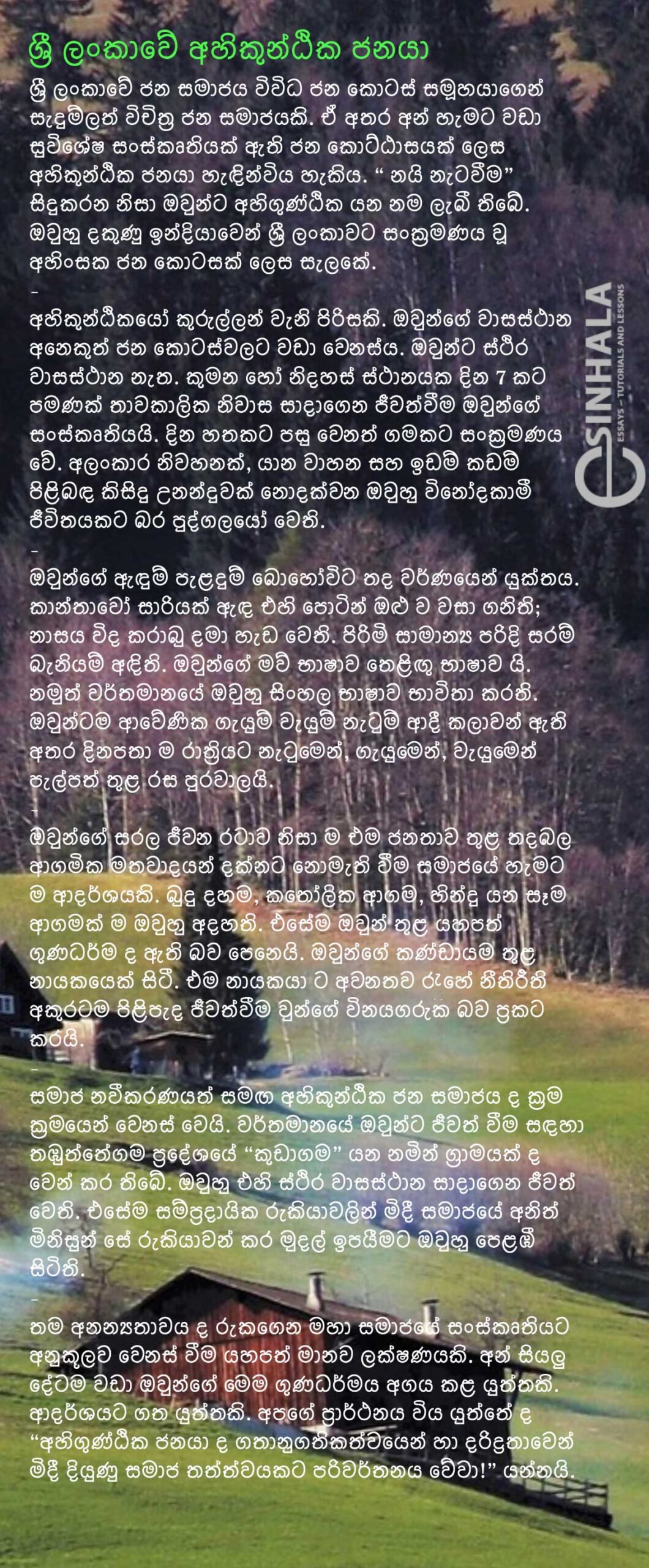 Ahikunṭika (Gypsy) people in Sri Lanka - Grade 9 Essay