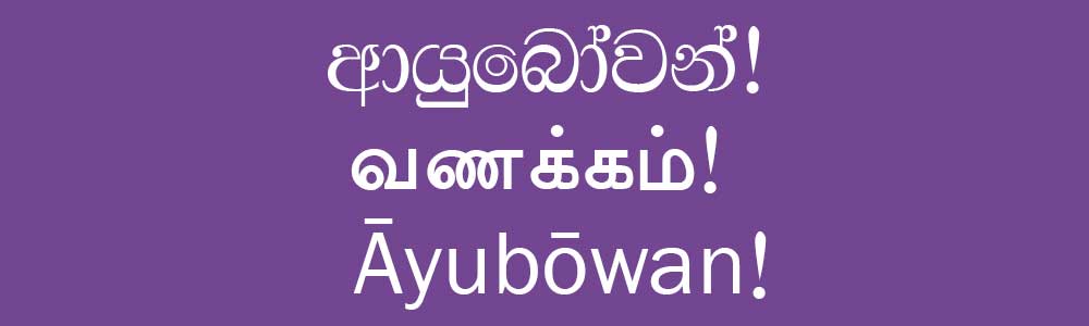 Sri Lanka Languages – Sinhala tamil and English