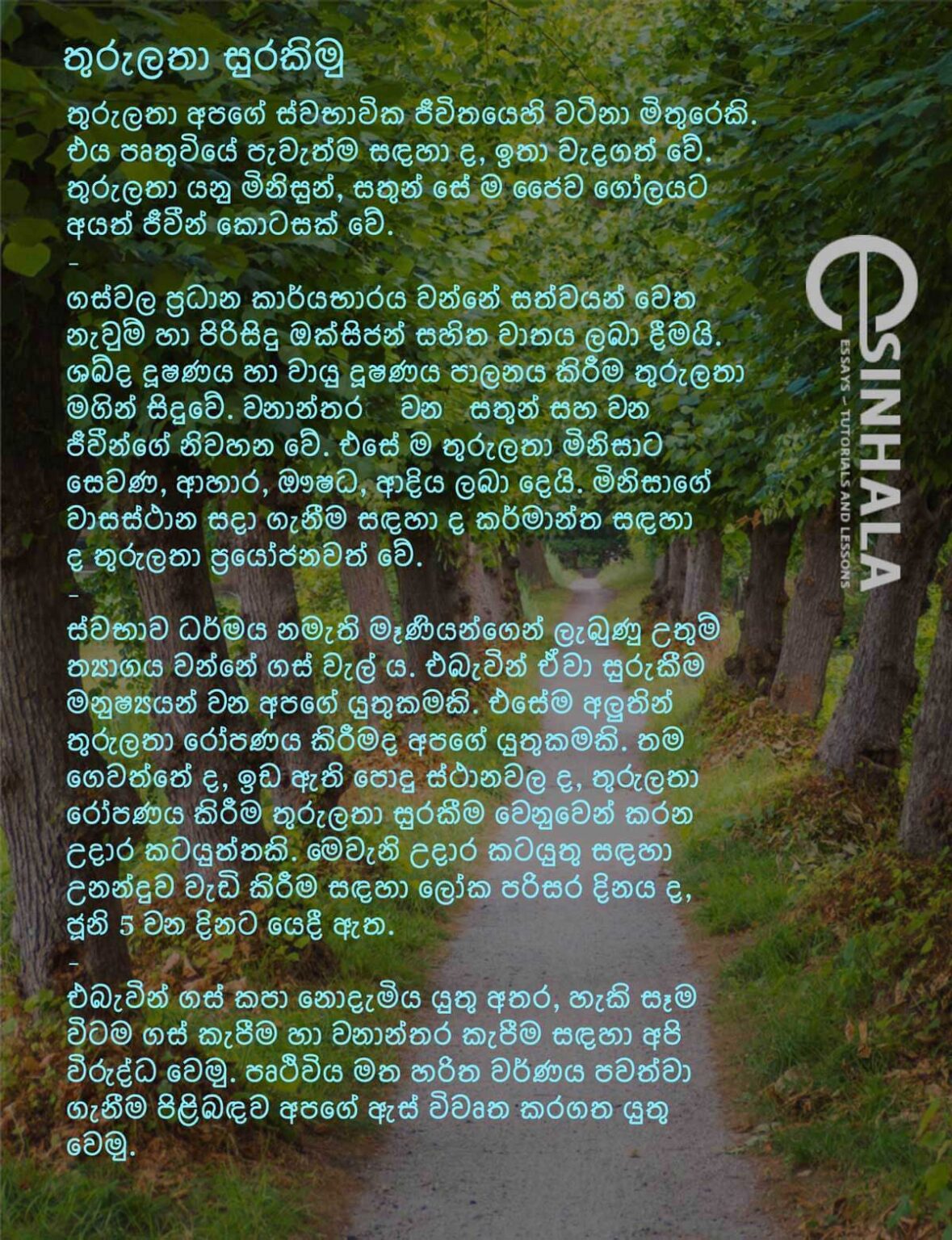 Let's protect the trees - Grade 6 - Sinhala Essays