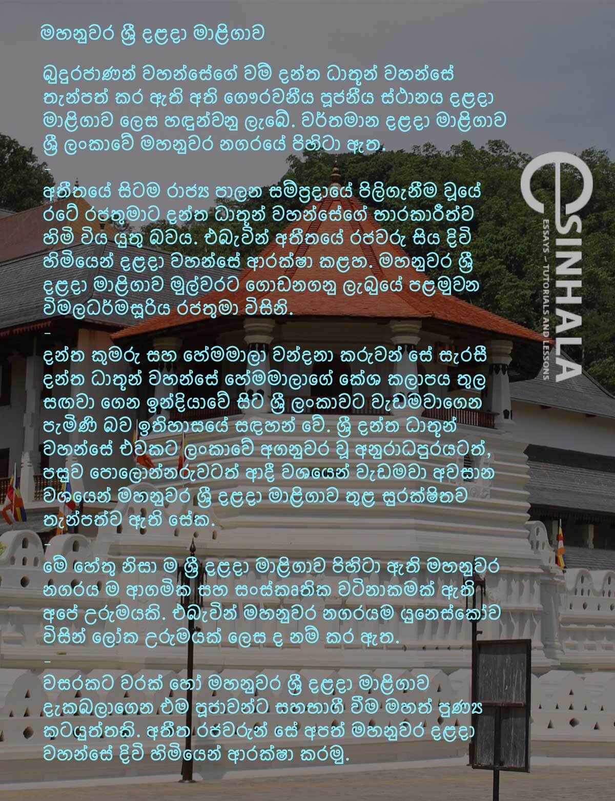 polonnaruwa essay in english grade 8