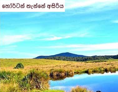 Amazing Horton Plains in Sri Lanka