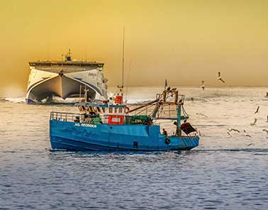 The fishing industry in Sri Lanka