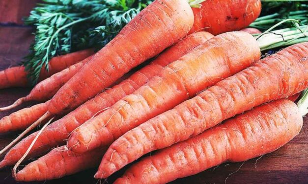 Why You should Eat Carrot?